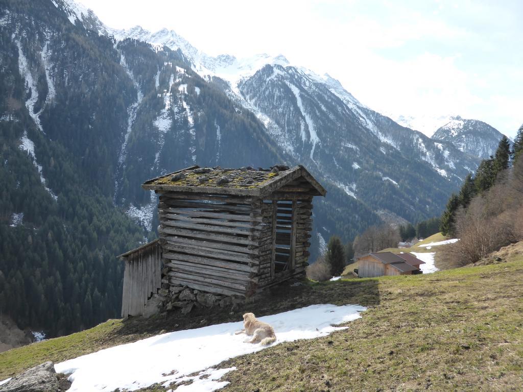Pension Steinadler นอยชติฟ อิม ชตูไปทัล ภายนอก รูปภาพ